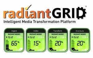 Wohler extends EMEA service and support for RadiantGrid
