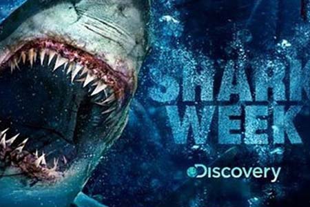 OSN to host the Middle East premiere of Discoverys ‘Shark Week’