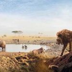 BBC Studios Serengeti and Wild Metropolis secure global pre-sales