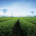 Smart Farming: Satellite data for a sustainable future