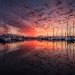 Maritime Satcom to exceed 75,000 VSAT-enabled vessels by 2028: NSR