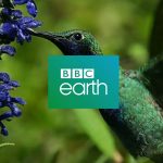 Foxtel, BBC Studios ink long-term agreement