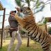 Discovery’s sequel to ‘Tiger King’ set to premiere this year on ID