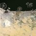 MBRSC releases 0.7 metre satellite mosaic image captured by KhalifaSat