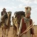 Egyptian actor Ahmed Malek’s film ‘The Furnace’ to premiere at Venice film fest