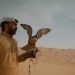 Image Nation to release locally created content to mark UAE National Day