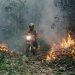 National Geographic acquires documentary ‘The Territory’ at Sundance