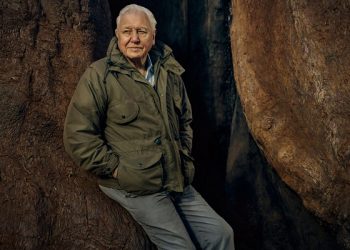 BBC Earth announces new series with Sir David Attenborough