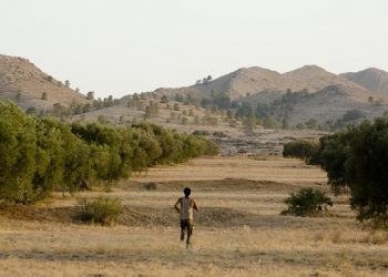 Red Sea Fund to open submissions for second cycle on April 6