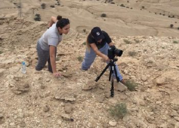 Production company Desert Rose Films launches new website