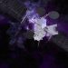 Eutelsat selects Thales to build flexible software-defined satellite