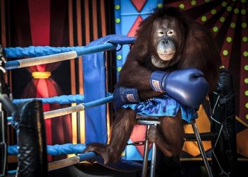 Xposure 2023 announces lineup of short films