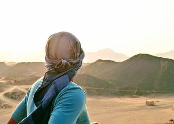 Telenor Satellite showcases Newtec Dialog platform at CABSAT