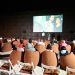 421 to organise film screening as part of ‘Summer 2023 Programme: Setting Suns’