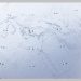 OneWeb Tonomus JV and Albabtain LeBlanc to built satellite station in Tabuk