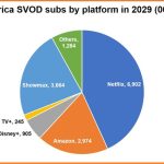 Sub-Saharan Africa to reach 16m SVOD subscriptions by 2029: Digital TV Research
