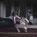 MAD Solutions sends short films to compete at Palm Springs Int’l Film Festival