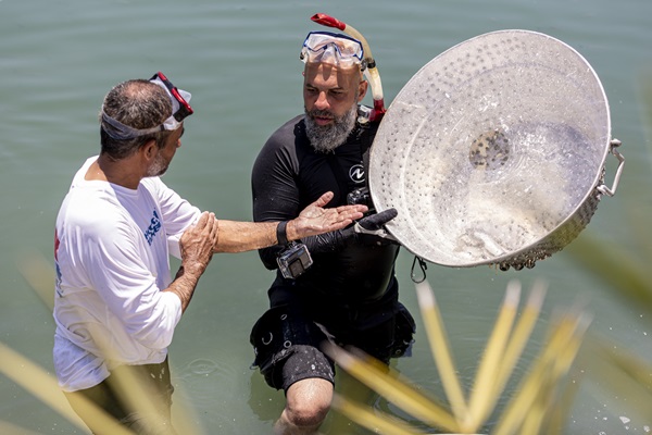 WBD and Fujairah Holding Unveil Premiere Date for 'Arabian Shores' Series 3 WBD and Fujairah Holding announce premiere of ‘Arabian Shores’