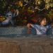 Disney’s live-action ‘Lilo & Stitch’ tops MENA box office in 2025